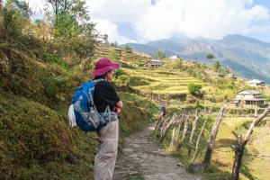 Ascent: Robin and Terraces
