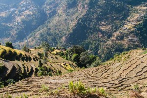 Descent: Steep Terraces